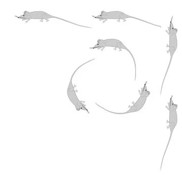 Rats and mice as design elements - stylized animals, fairy tales, children il Illustrazione stock