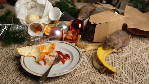 Rats are running on the table with leftover food and holiday messy. Stock Footage 295521492