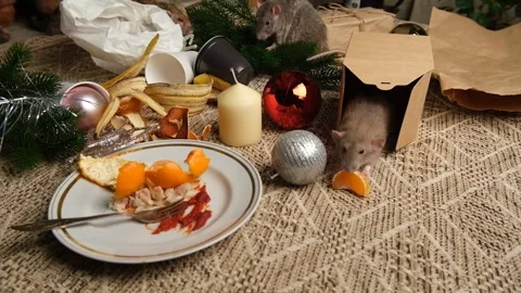 Rats are running on the table with leftover food and holiday messy. Stock Footage 295522044