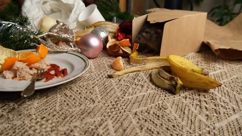 Rats are running on the table with leftover food and holiday messy. Stock Footage 295522045