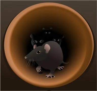 Rats Stock Illustration