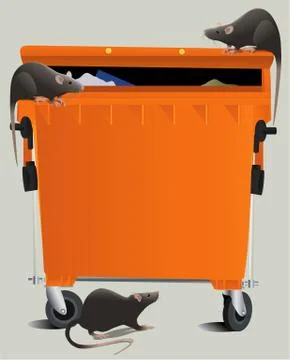 Rats Stock Illustration
