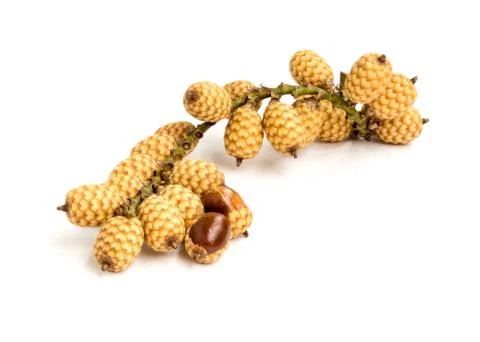 Rattan fruit Stock Photos