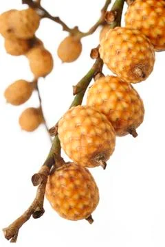 Rattan fruit Stock Photos