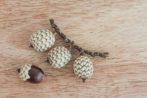 Rattan fruit Stock Photos