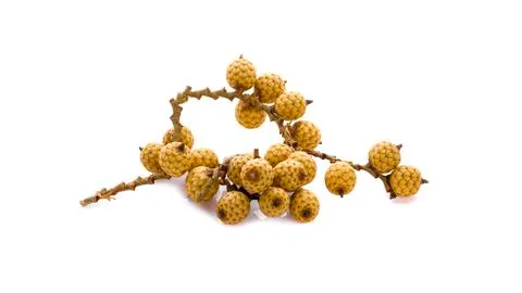 Rattan fruit on white background Stock Photos