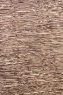 Rattan texture Foto stock