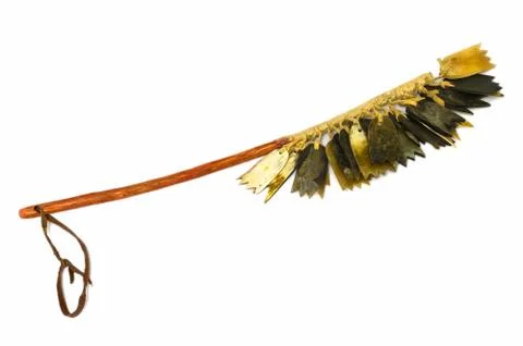 Rattle. Stock Photos