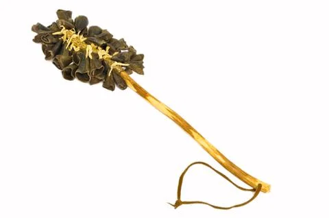 Rattle. Stock Photos