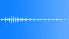 RATTLE SEEDPOD LONG01Sound Effect