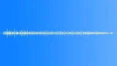 RATTLE SEEDPOD LONG04Sound Effect