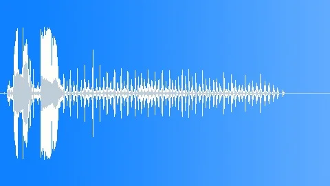 Rattle Snake Tail Shake 2 Sound Effect