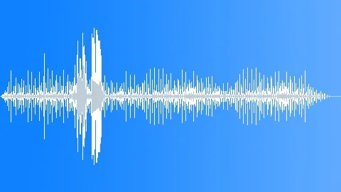 Rattle Snake Tail Shake 3 Sound Effect