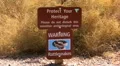 Rattle Snake Warning Sign HD 동영상
