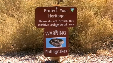 Rattle Snake Warning Sign Video stock 919322