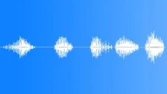 Rattle Sound Effect
