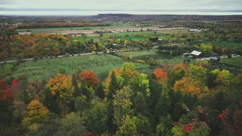Rattlesnake Point Conservation Stockbeeldmateriaal 219580494
