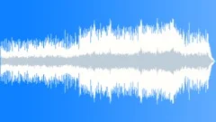 Rattlesnake Skin Stock Music