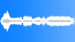 RATTLESNAKE Sound Effect
