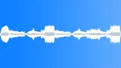 RATTLESNAKESound Effect
