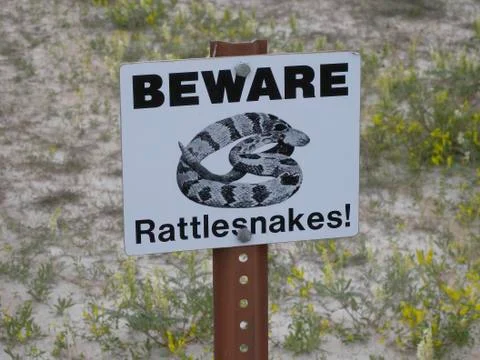 Rattlesnakes Beware! Stock Photos