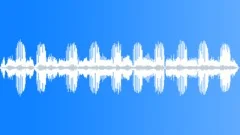 Raucous calling of toads, South AfricaSound Effect