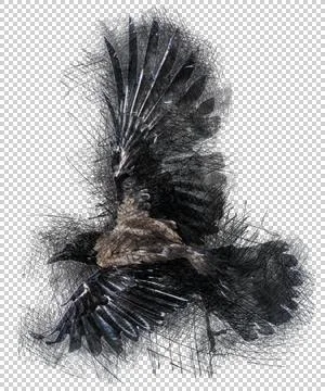 The Raven-9 Stock Illustration