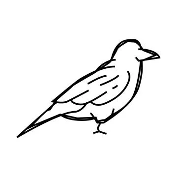 Raven bird line icon vector illustration Stockillustratie