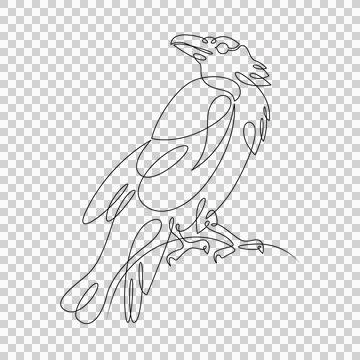 Raven bird logo. One continuous line. Stock Illustration