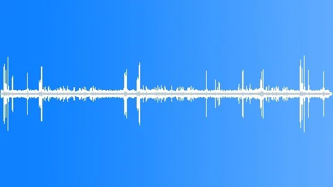 Raven Call of Hen ~ Sound Effect Royalty Free #8667664