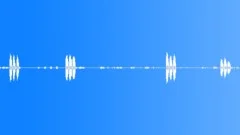 Raven. Calls and wing beatsSound Effect