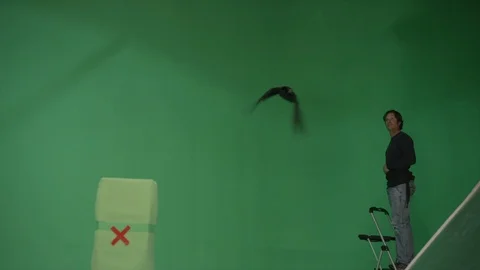 Raven Crow Flying Green Screen 03 Stock Footage 124659541