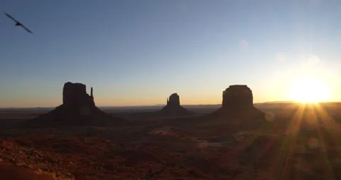 Raven crows and flies over the sunrise behind Monument Valley, Arizona Видео 303411695