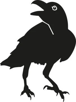 Raven crows Stock Illustration