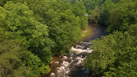 Raven Fork Oconaluftee River 库存影片 276133285