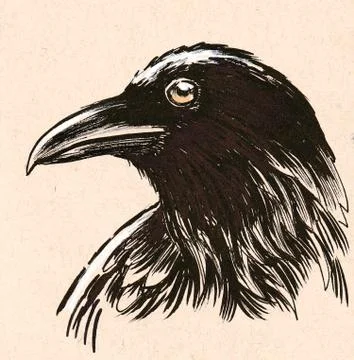 Raven head Illustrazione stock