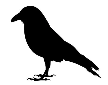 Raven Stock Illustration