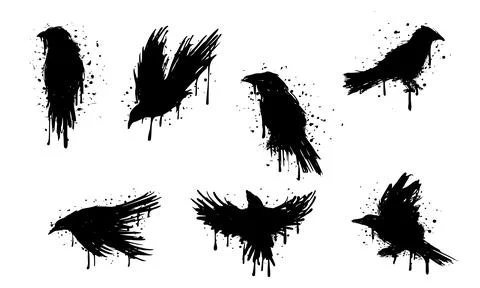 Raven Stock Illustration