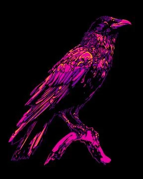Raven Иллюстрация