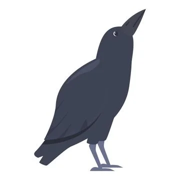 Raven looking up, bird observing sky, wildlife illustration Stock Illustration
