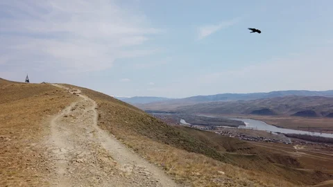 Raven in the mountains Video stock 129750983