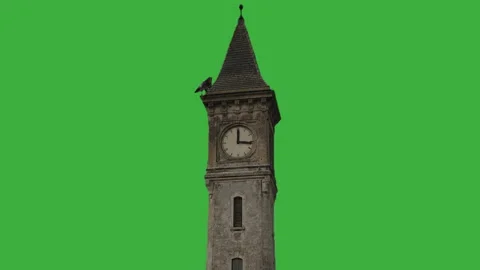 Raven on an old clock tower green screen Stock Footage 340238813