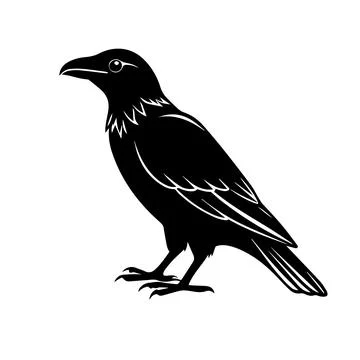 Raven or crow silhouette vector design Stock Illustration