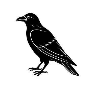 Raven or crow silhouette vector design Stock Illustration