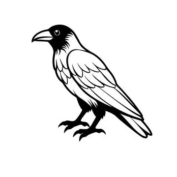 Raven or crow silhouette vector design Stock Illustration