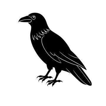 Raven or crow silhouette vector design Stock Illustration
