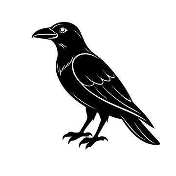 Raven or crow silhouette vector design Stock Illustration