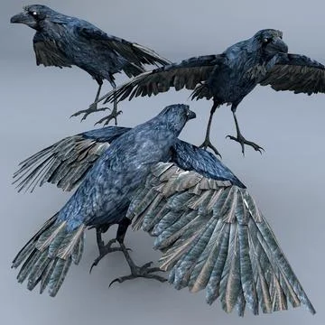 Raven-pbr Free low-poly 3D model 3D Model