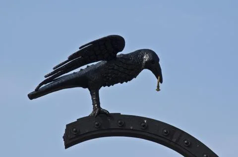 Raven Stock Photos