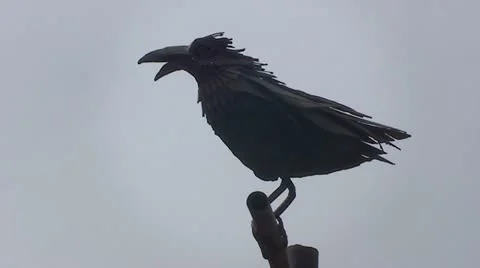 Raven Sculpture with ravens flying in bkgd.mp4 Stock Footage 11663270